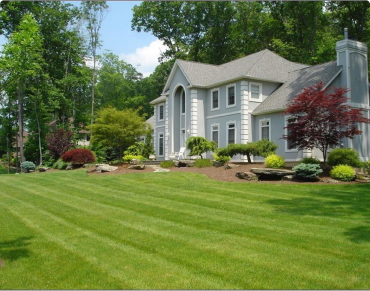 residential lawn service