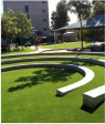 professional lawn care services