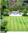 full service lawn care