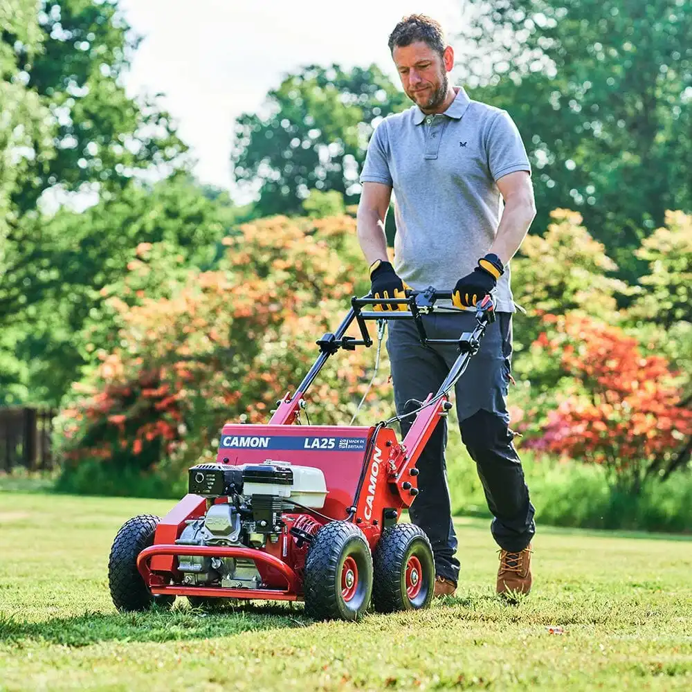 cheapest lawn service