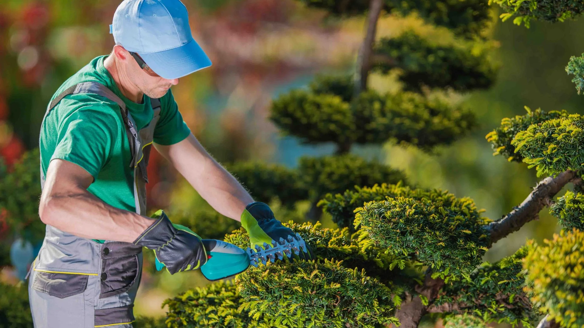 lawn care business