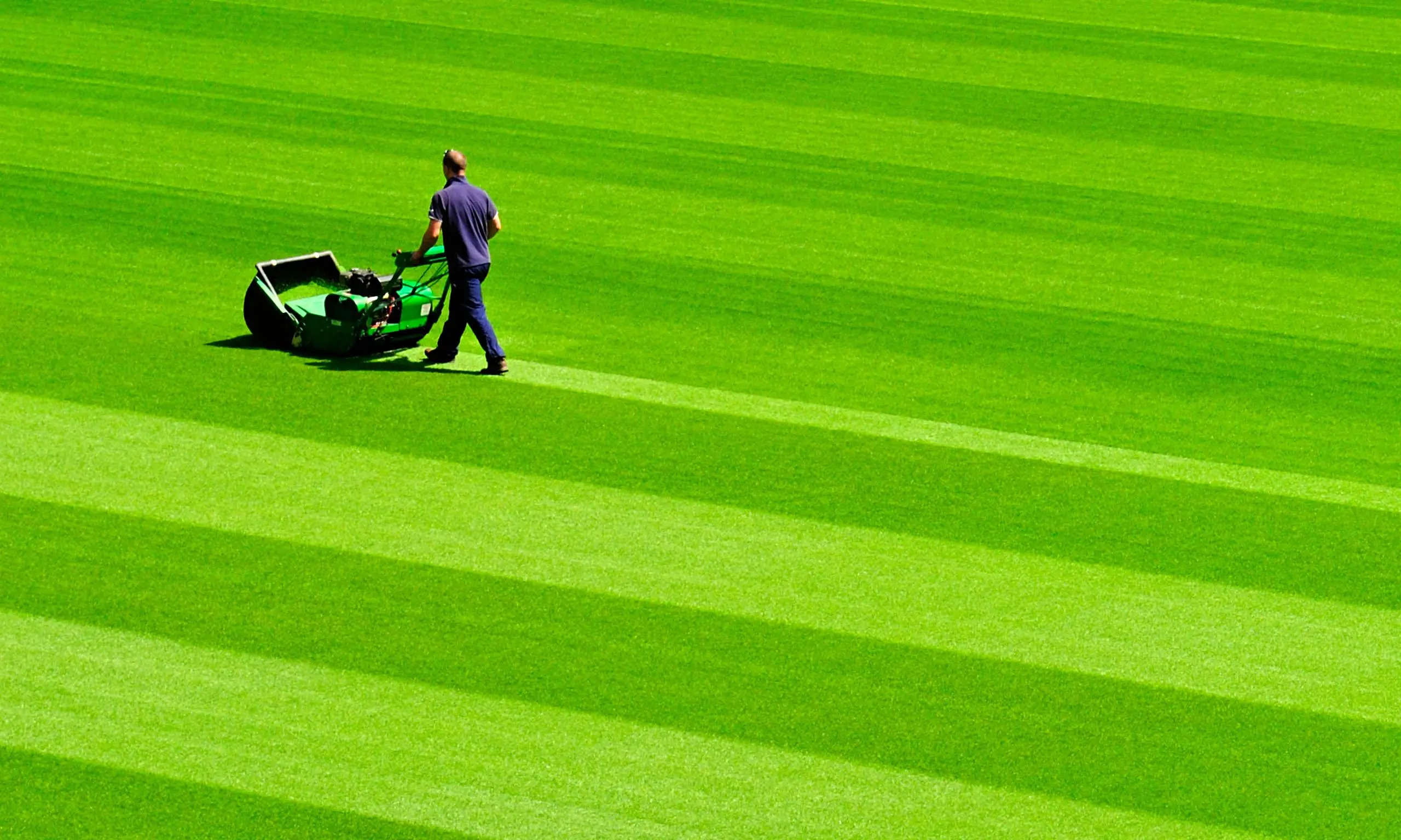 best lawn care service