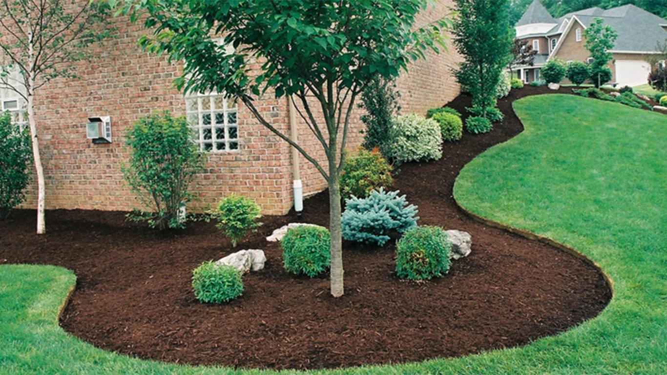 yard care services